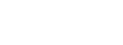 Sport and Organization Dynamics Institute